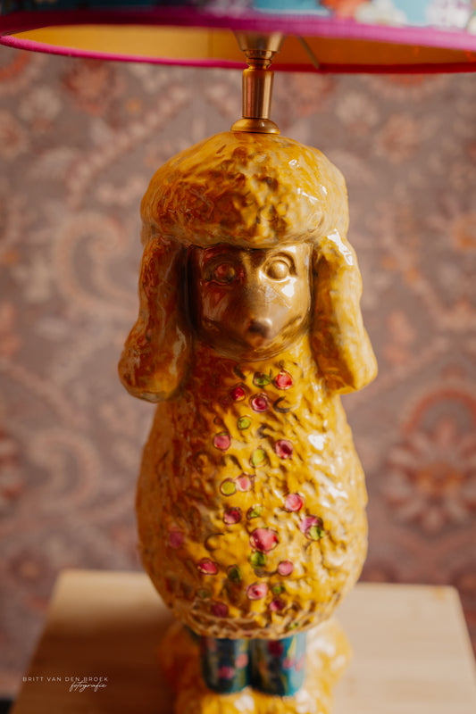 Poedellampenvoet geel