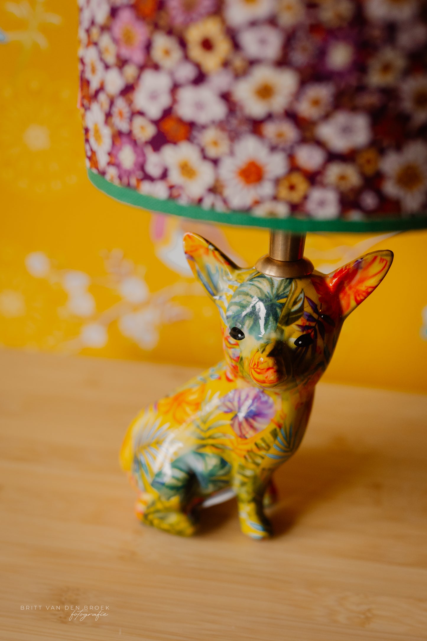 Lampenvoet hond chihuahua