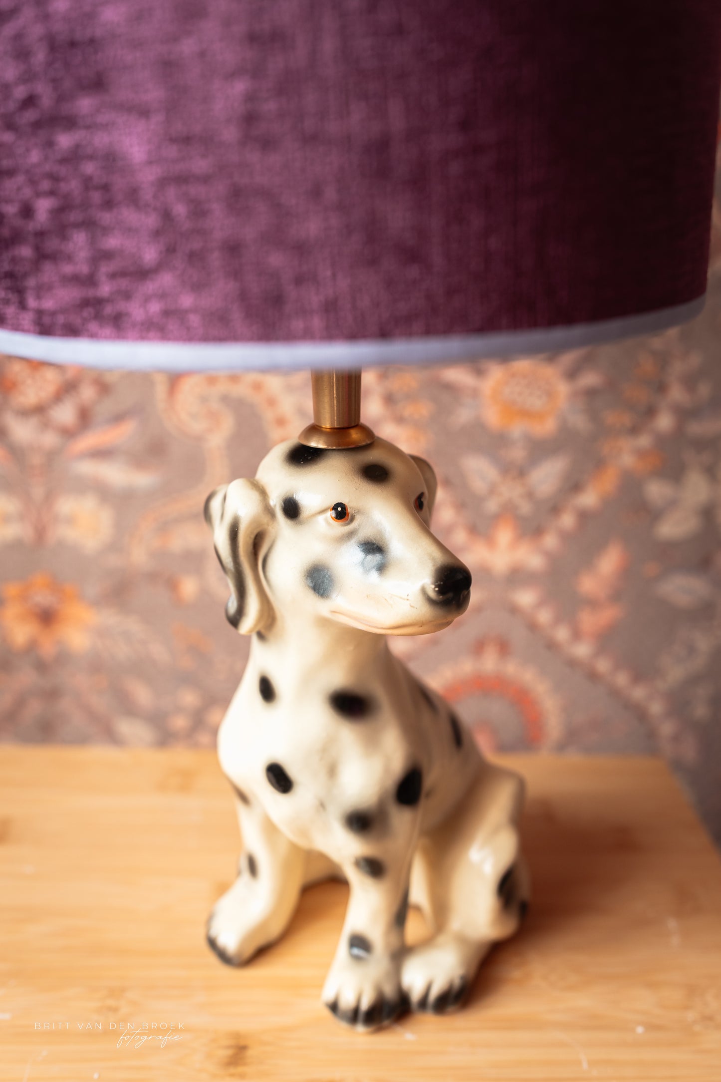 Lampenvoet hond dalmatiër